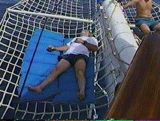 wayne on widow net